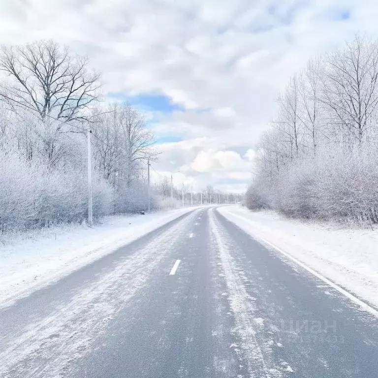 Дом в Псковская область, Островская волость, д. Городище ул. ... - Фото 1