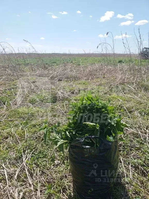 Участок в Тюменская область, Тюменский район, д. Большие Акияры  (8.36 ... - Фото 2