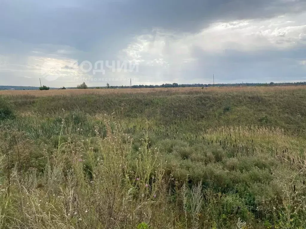 Участок в Чувашия, Канашский муниципальный округ, д. Келте-Сюле  (7.0 ... - Фото 2