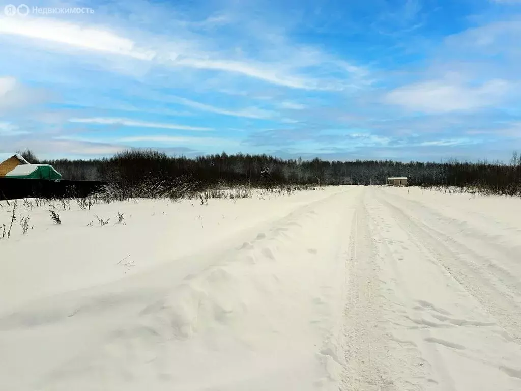Участок в Московская область, городской округ Клин, КП Коськово, 248 ... - Фото 2