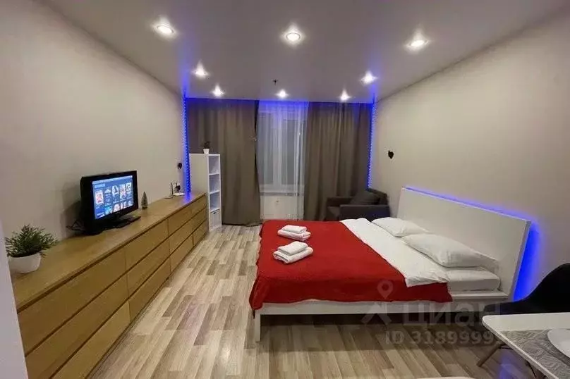 1-к кв. Санкт-Петербург ул. Хошимина, 16А (30.0 м) - Фото 1