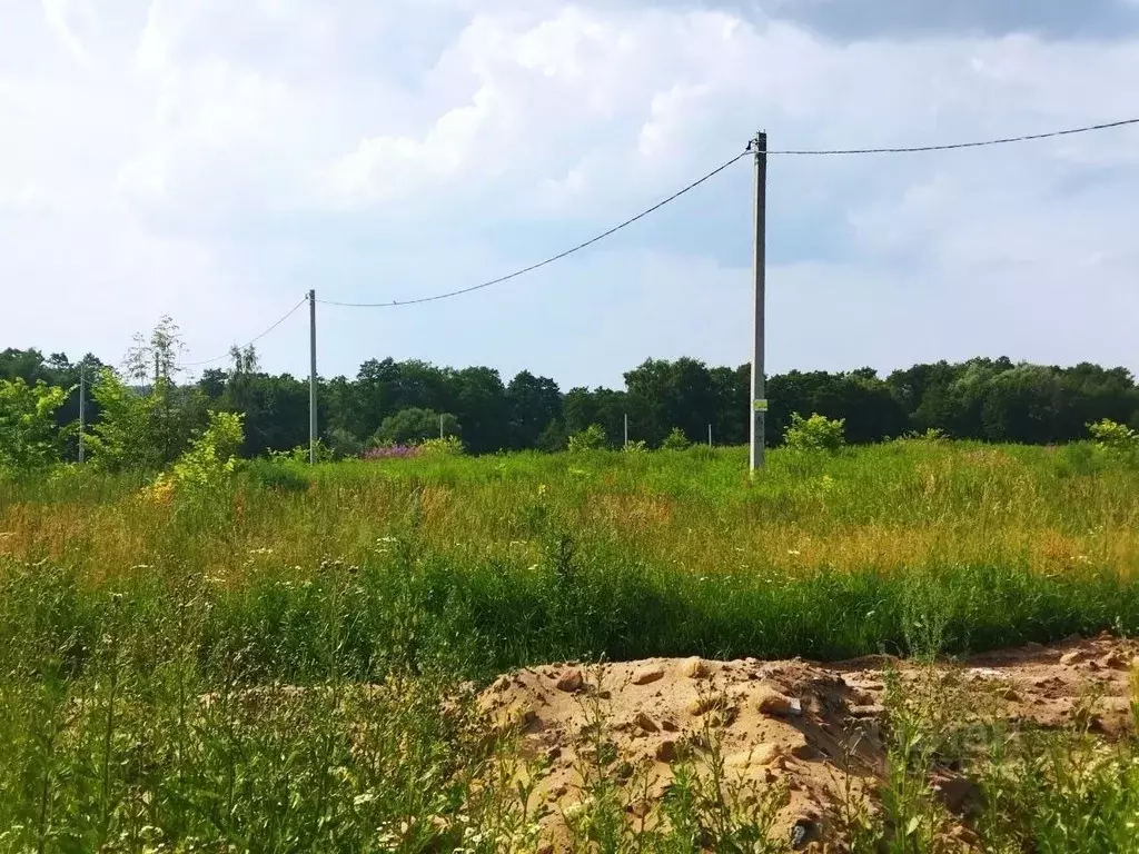 Участок в Тульская область, Ясногорский район, Теляковское с/пос, д. ... - Фото 2