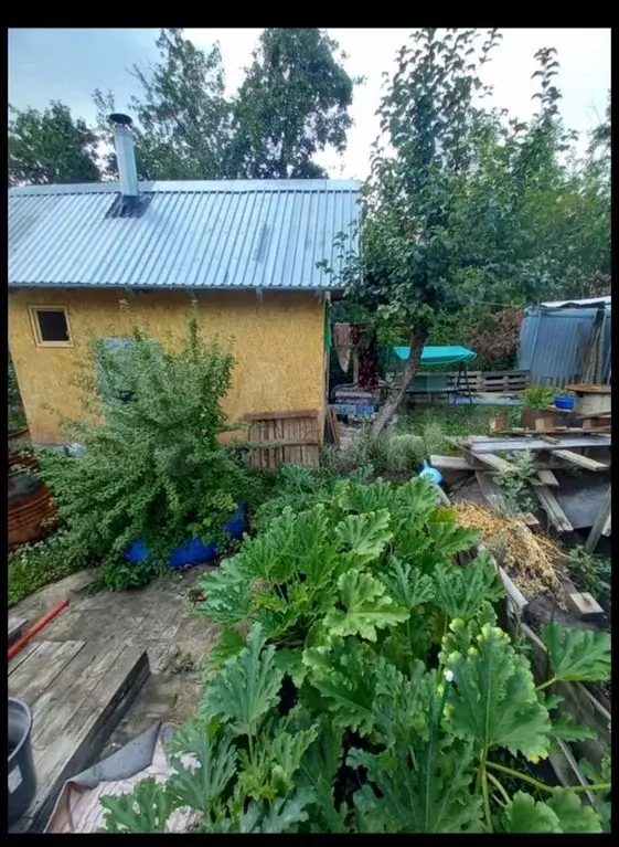 Участок 4,7 сот. (СНТ, ДНП) - Фото 0