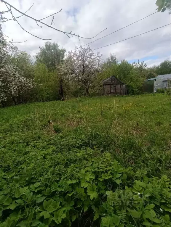Участок в Нижегородская область, Кстово Пион садовое товарищество, 32 ... - Фото 1