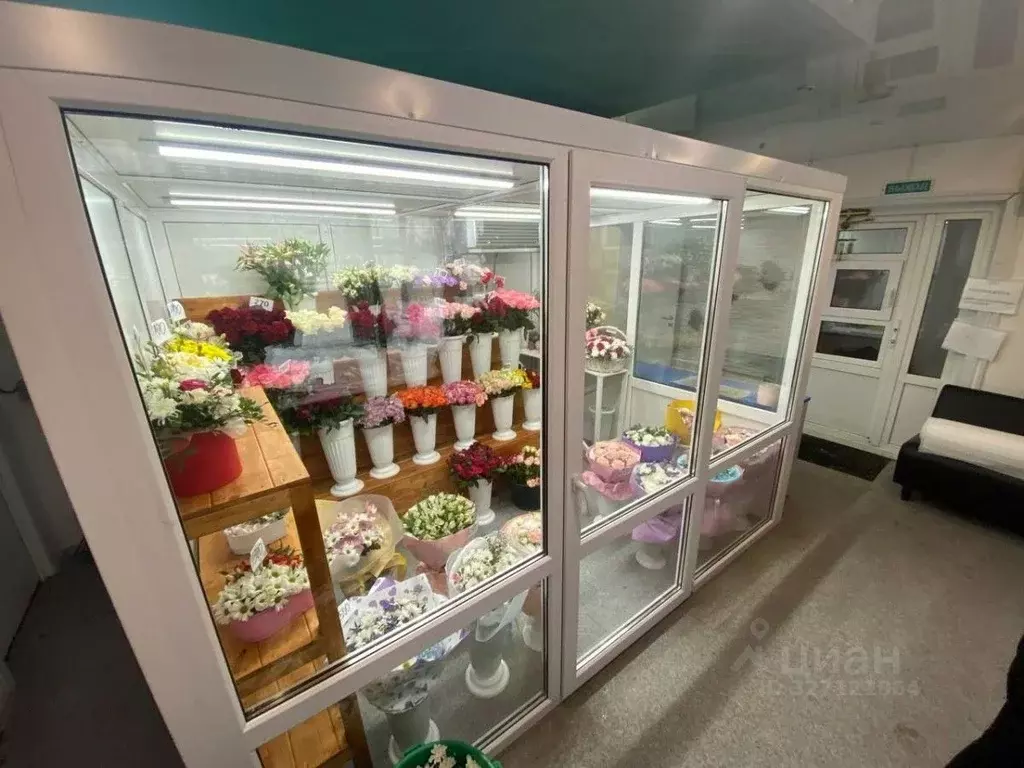 Помещение свободного назначения в Татарстан, Набережные Челны просп. ... - Фото 2