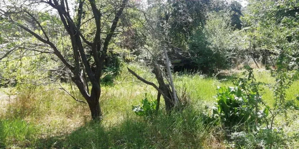 Участок в Краснодарский край, Краснодар ул. Киевская, 68 (9.43 сот.) - Фото 2