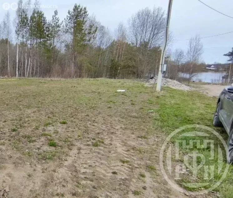 Участок в Лужский район, Заклинское сельское поселение, деревня ... - Фото 1