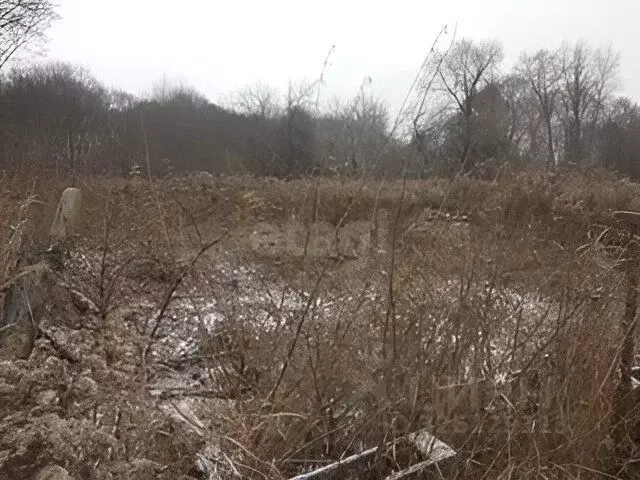 Участок в Тульская область, Тула городской округ, д. Ратово  (15.0 ... - Фото 2