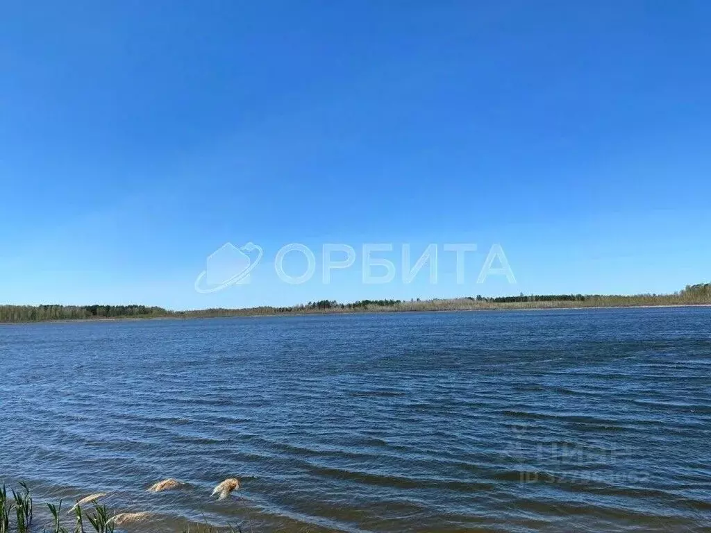 Участок в Тюменская область, Нижнетавдинский муниципальный округ, ... - Фото 1