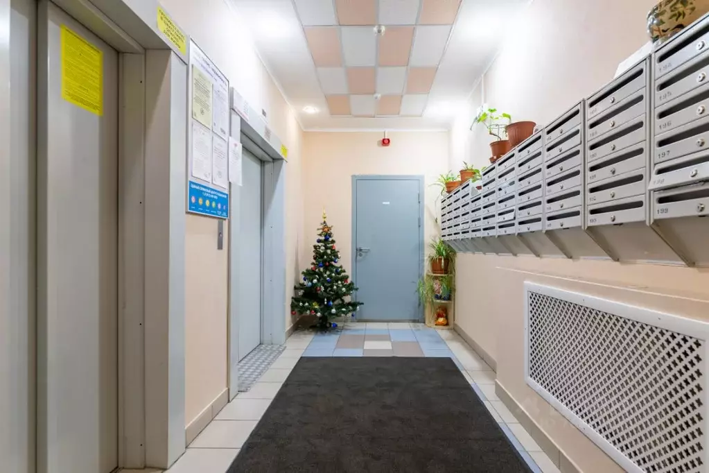 4-к кв. Санкт-Петербург Гжатская ул, 22к3 (115.0 м) - Фото 1