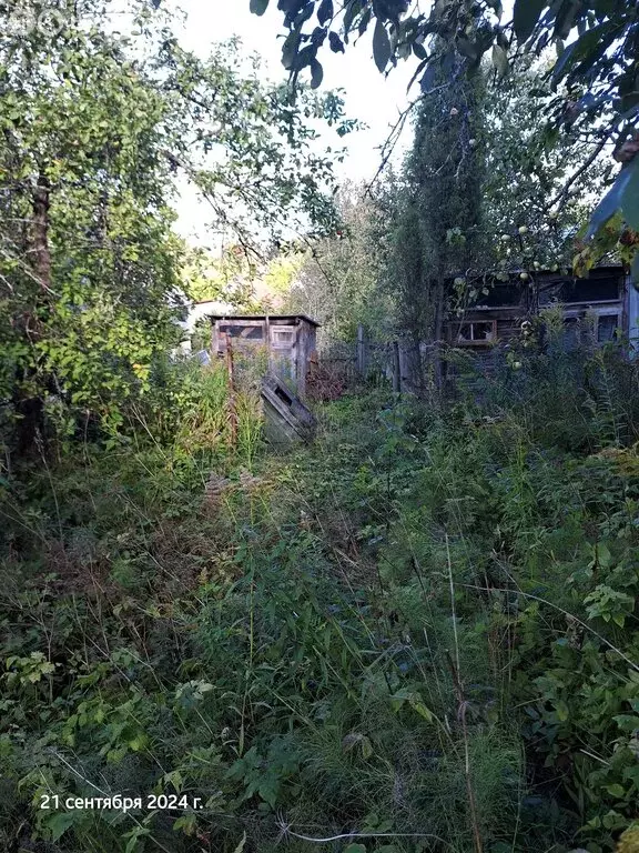 Участок в Павловское городское поселение, дачный массив Горы-2, СНТ ... - Фото 0