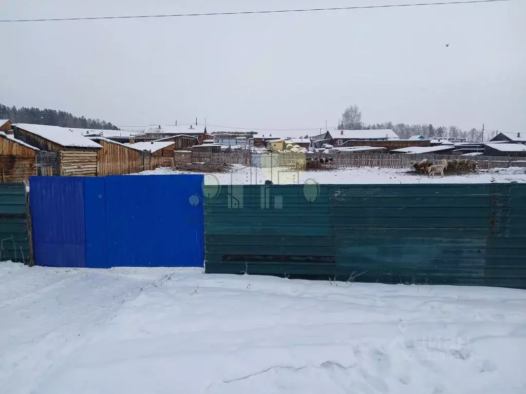 Участок в Иркутская область, Эхирит-Булагатский район, Кулункунское ... - Фото 1