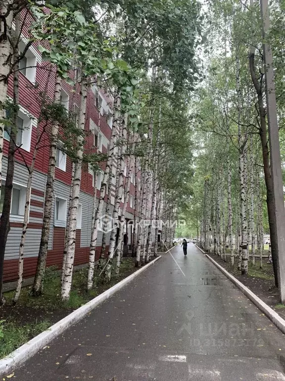 Комната Ханты-Мансийский АО, Сургут Набережный просп., 64 (18.8 м) - Фото 0
