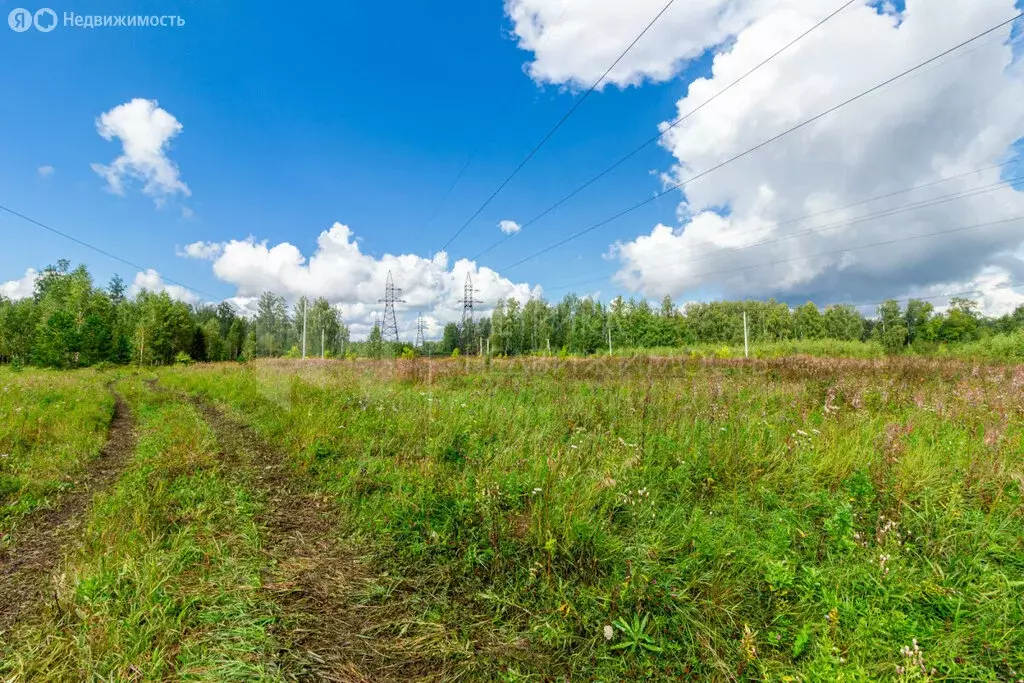 Участок в Тюменский район, урочище Казарма (10 м) - Фото 1