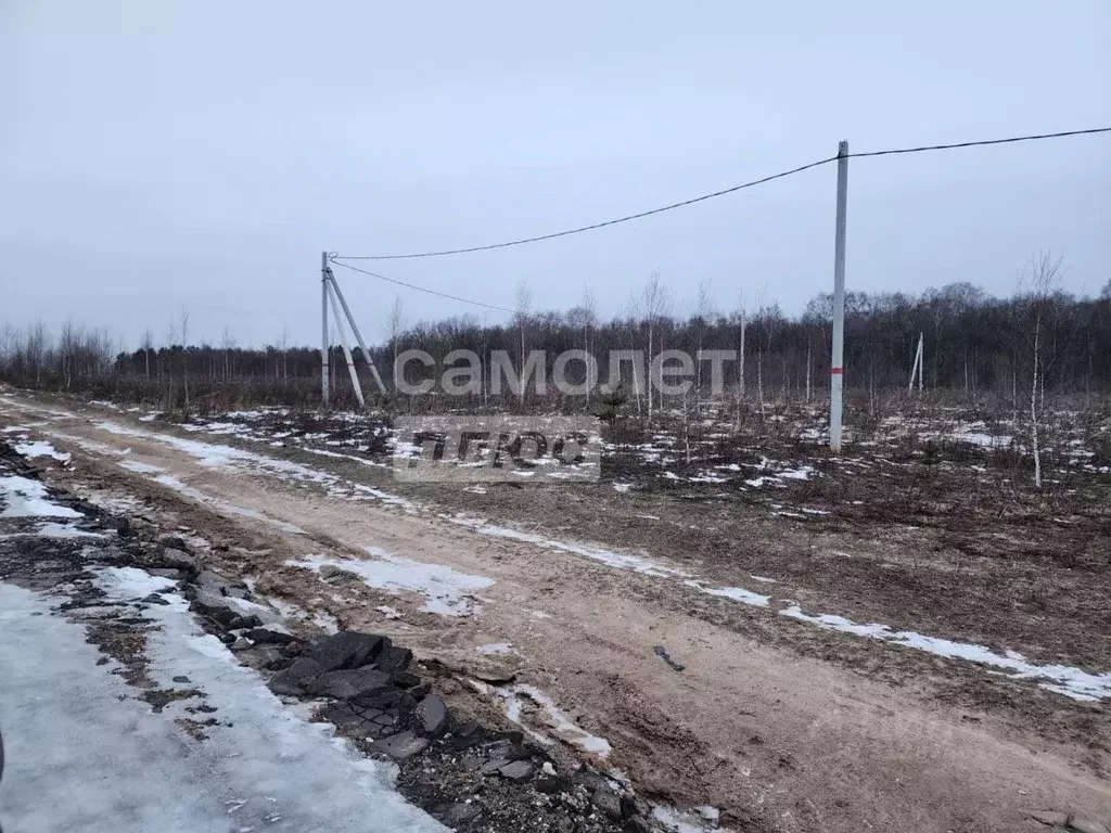 Участок в Московская область, Одинцовский городской округ, с. ... - Фото 0