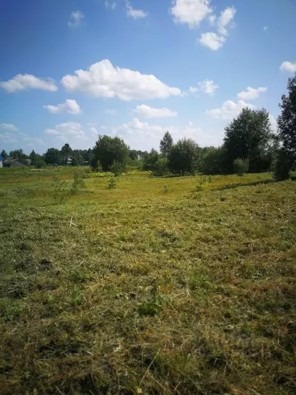 Участок в Московская область, Наро-Фоминский городской округ, д. ... - Фото 2