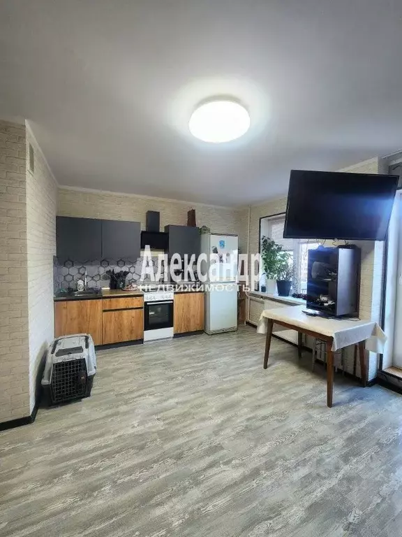 Студия Ленинградская область, Кириши ул. Декабристов Бестужевых, 18 ... - Фото 1