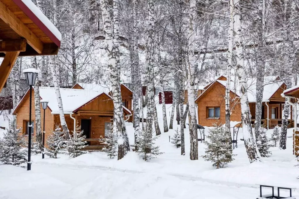 Дом в Красноярский край, Дивногорск городской округ, пос. Манский, ... - Фото 1