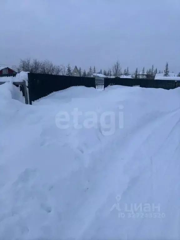 Участок в Ямало-Ненецкий АО, Новый Уренгой Титан ДНТ, 25 (6.0 сот.) - Фото 1