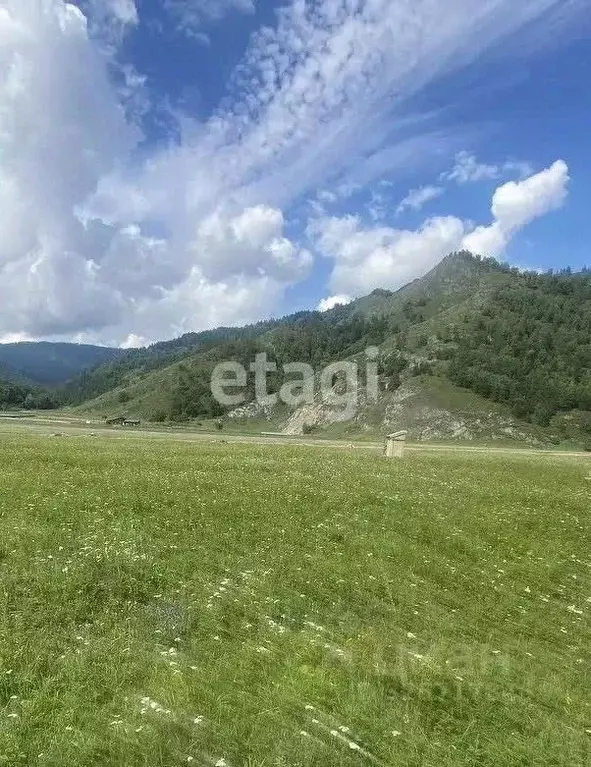 Участок в Алтай, Чемальский район, с. Анос  (15.1 сот.) - Фото 2