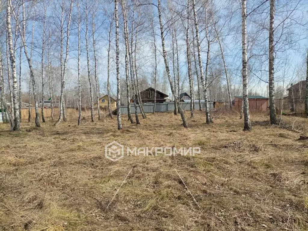Участок в Новосибирская область, Новосибирский район, Криводановский ... - Фото 0