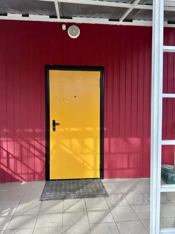 3-к кв. Воронежская область, Борисоглебск Советская ул., 60 (110.0 м) - Фото 2