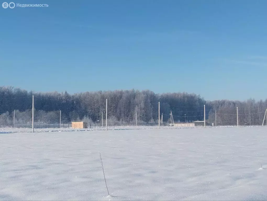 Участок в Московская область, Дмитровский муниципальный округ, дачный ... - Фото 2