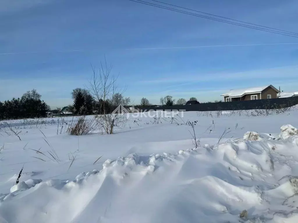 Участок в Московская область, Павлово-Посадский городской округ, д. ... - Фото 2