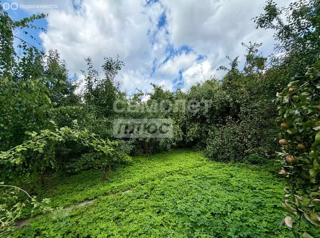 Участок в деревня Говорово, СНТ Мир (6.7229996 м) - Фото 1