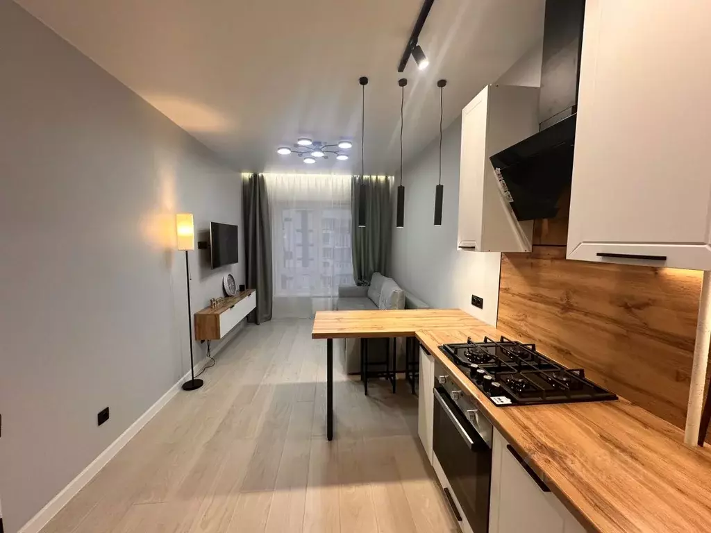 1-к кв. Псковская область, Псковский район, Завеличенская волость, д. ... - Фото 1