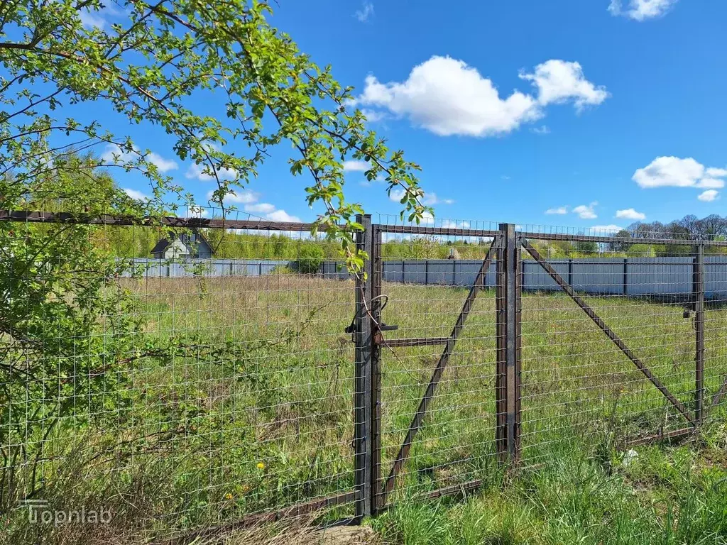 Участок в Калининградская область, Янтарный пгт ул. Малиновая (8.0 ... - Фото 1