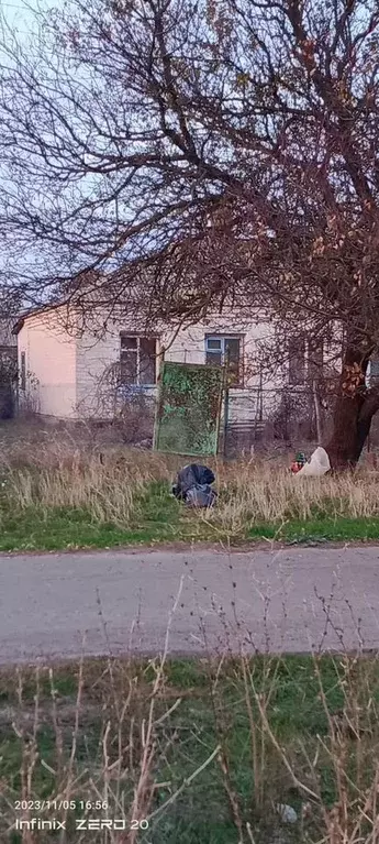 Дом 38 м на участке 8 сот. - Фото 1