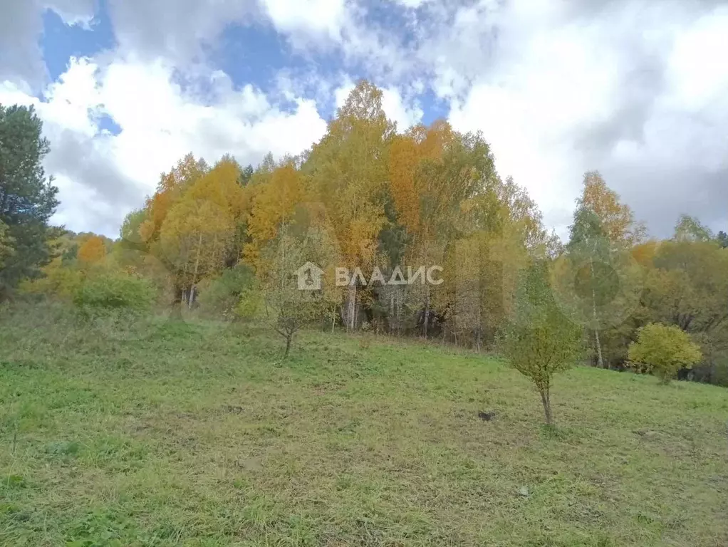 Участок 3,18 га (СНТ, ДНП) - Фото 0