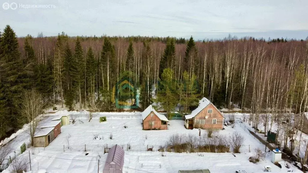 Дом в Выборгский район, Первомайское сельское поселение, садоводческое ... - Фото 1