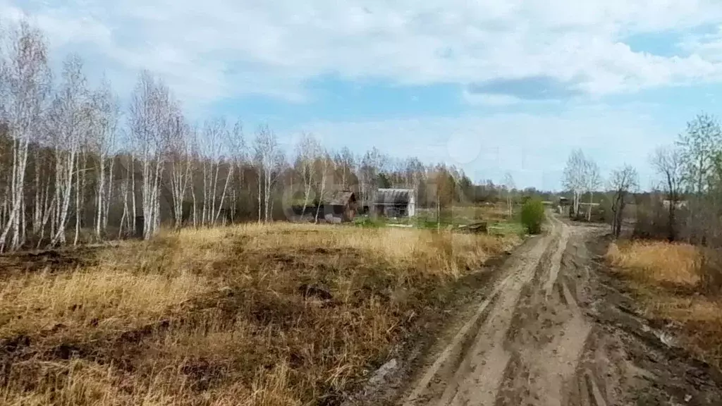 Участок 6,5 сот. (СНТ, ДНП) - Фото 1