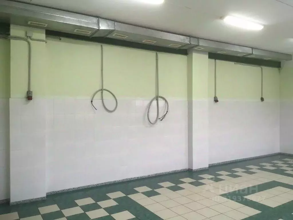 Помещение свободного назначения в Самарская область, Тольятти ... - Фото 1