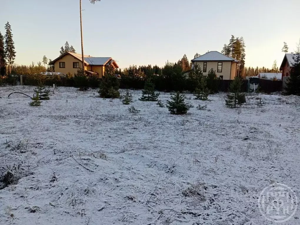 Участок в Ленинградская область, Всеволожский район, Агалатовское ... - Фото 1