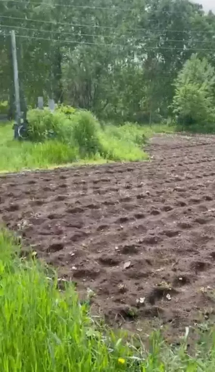 Участок в Камчатский край, Елизовский муниципальный округ, Родничок ... - Фото 1