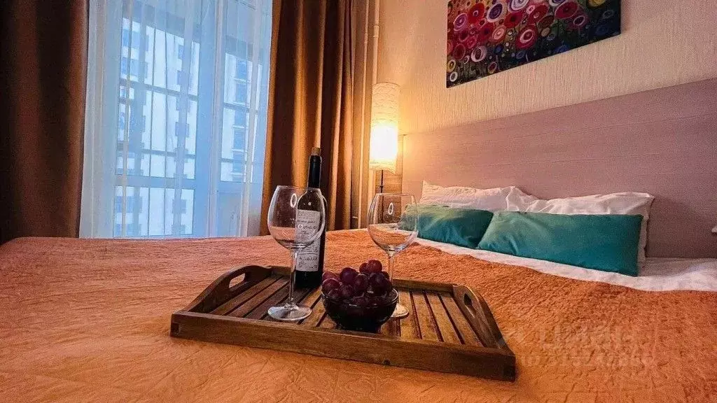1-к кв. Санкт-Петербург Пулковское ш., 14Е (29.0 м) - Фото 1