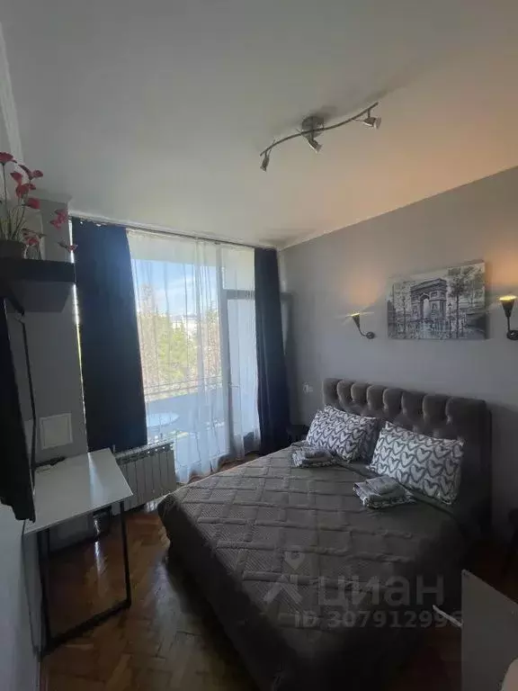 Студия Краснодарский край, Сочи Курортный просп., 75к1 (20.0 м) - Фото 2