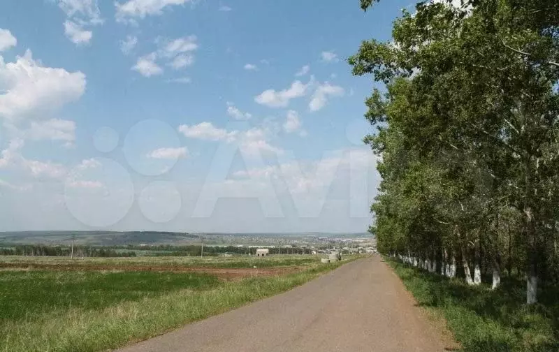 Участок 7 га (СНТ, ДНП) - Фото 1