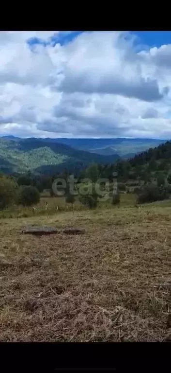 Участок в Алтай, Чемальский район, Элекмонарское с/пос, Седьмое Небо ... - Фото 1