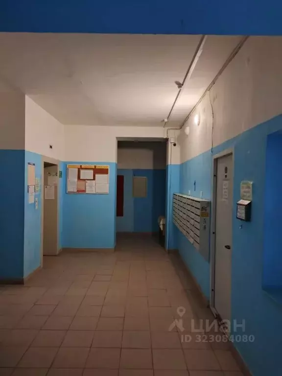 Студия Пермский край, Пермь ул. Ивана Франко, 42 (33.7 м) - Фото 2