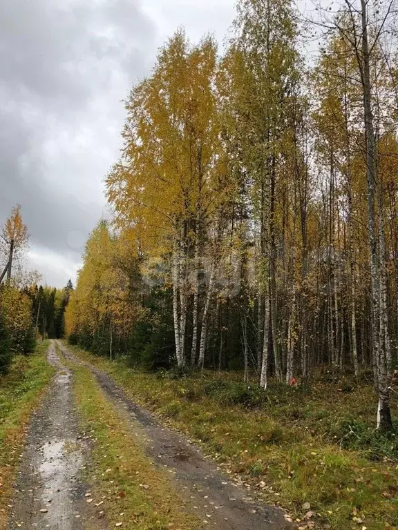 Купить Участок Земли В Петрозаводске