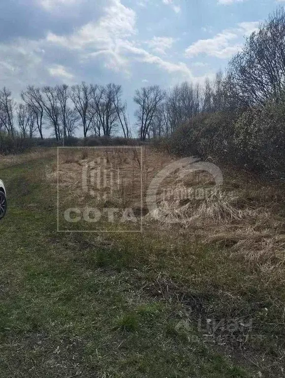 Участок в Воронежская область, Новоусманский район, с. Рогачевка ул. ... - Фото 1