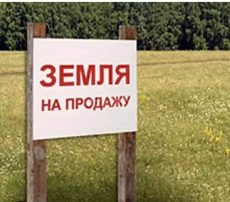 Участок в Кировская область, Киров городской округ, д. Эсауловы 15 ... - Фото 1