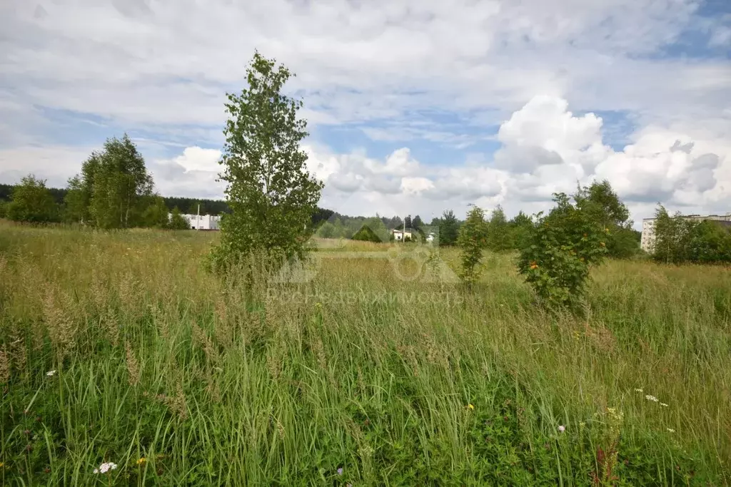 Участок в Владимирская область, Кольчугино ул. Верещагина, 12 (10.0 ... - Фото 2