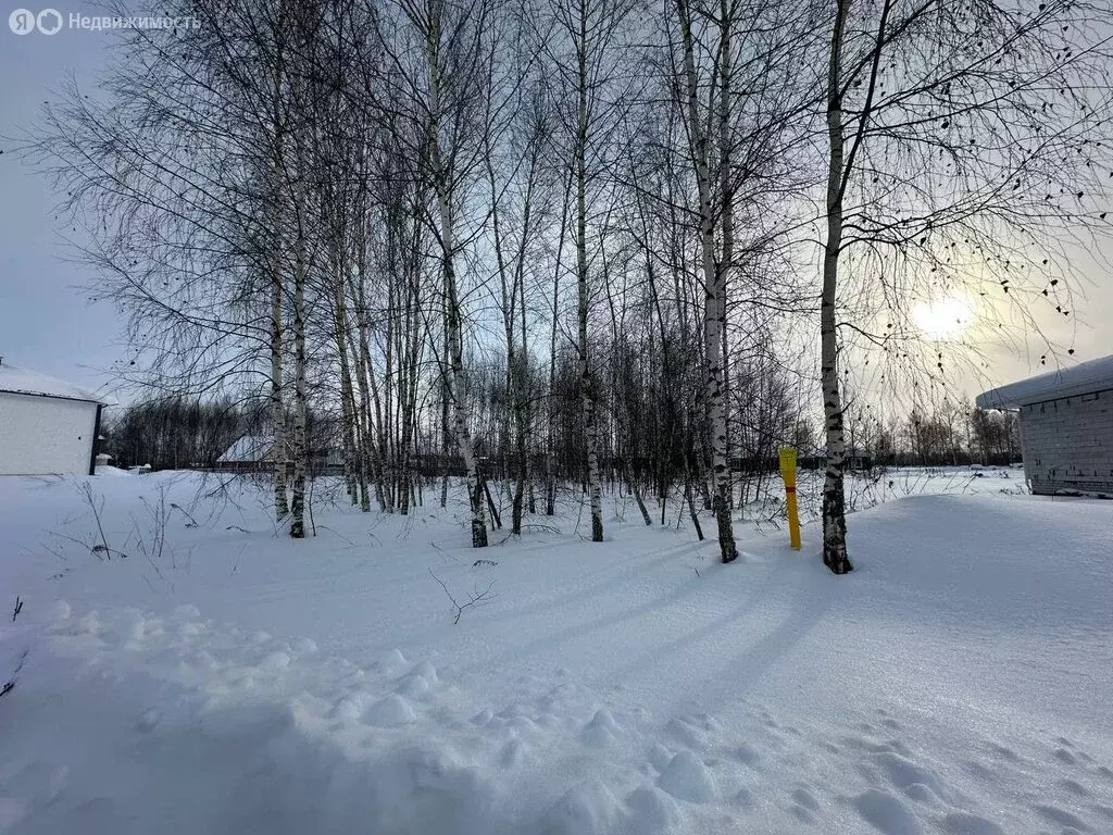 Участок в Бор, 1-й переулок Кулибина (9.9 м) - Фото 1