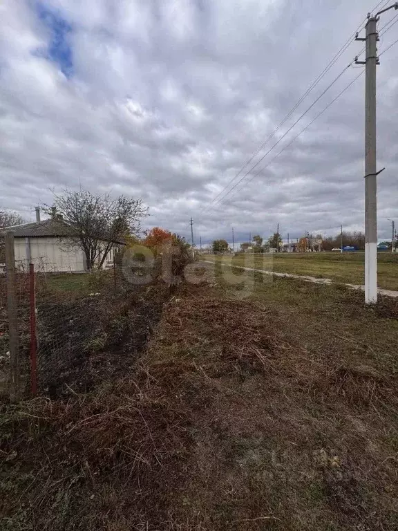1-к кв. Курская область, Мантуровский район, Ястребовский сельсовет, ... - Фото 1