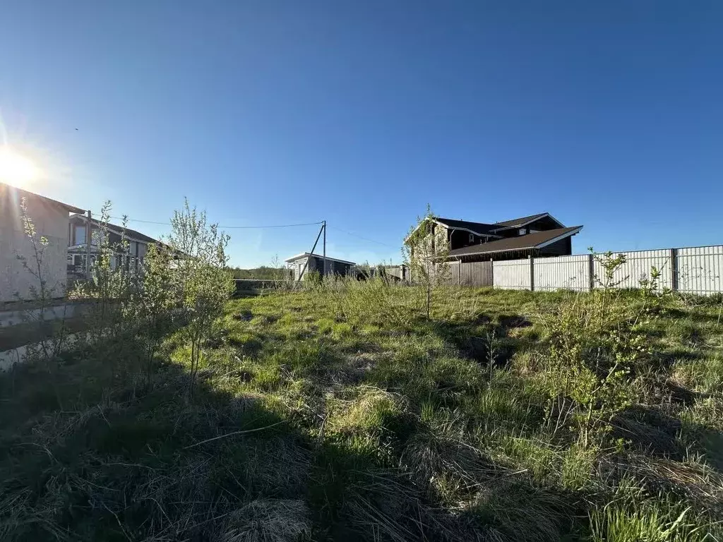 Участок в Вологодская область, д. Новое (Лесковский сельсовет), ... - Фото 1